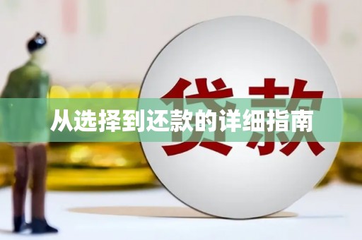 金溪从选择到还款的详细指南