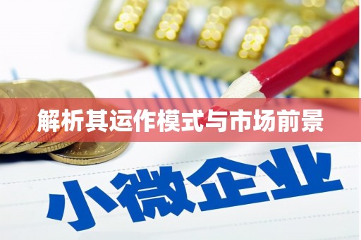 孝南解析其运作模式与市场前景