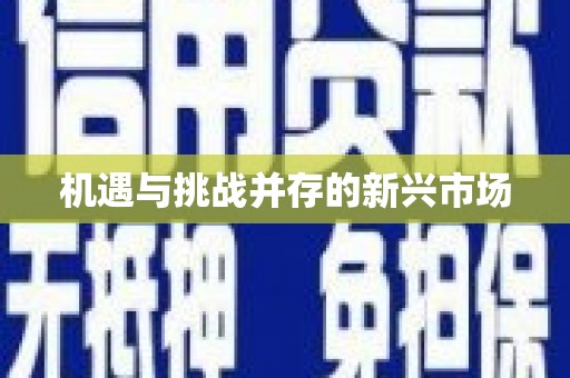 漳平机遇与挑战并存的新兴市场