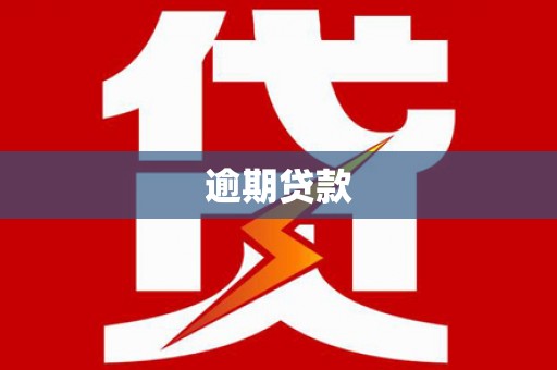 林西逾期贷款
