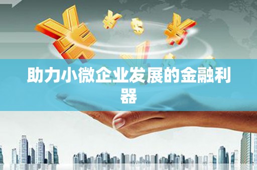 阳山助力小微企业发展的金融利器